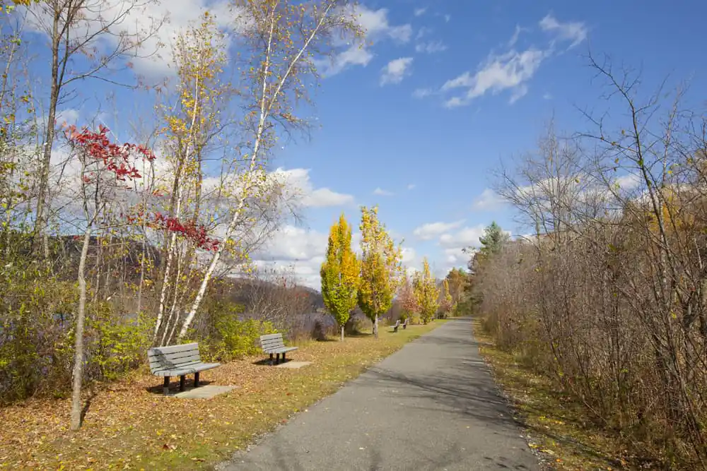 Ashuwillticook Rail Trail
