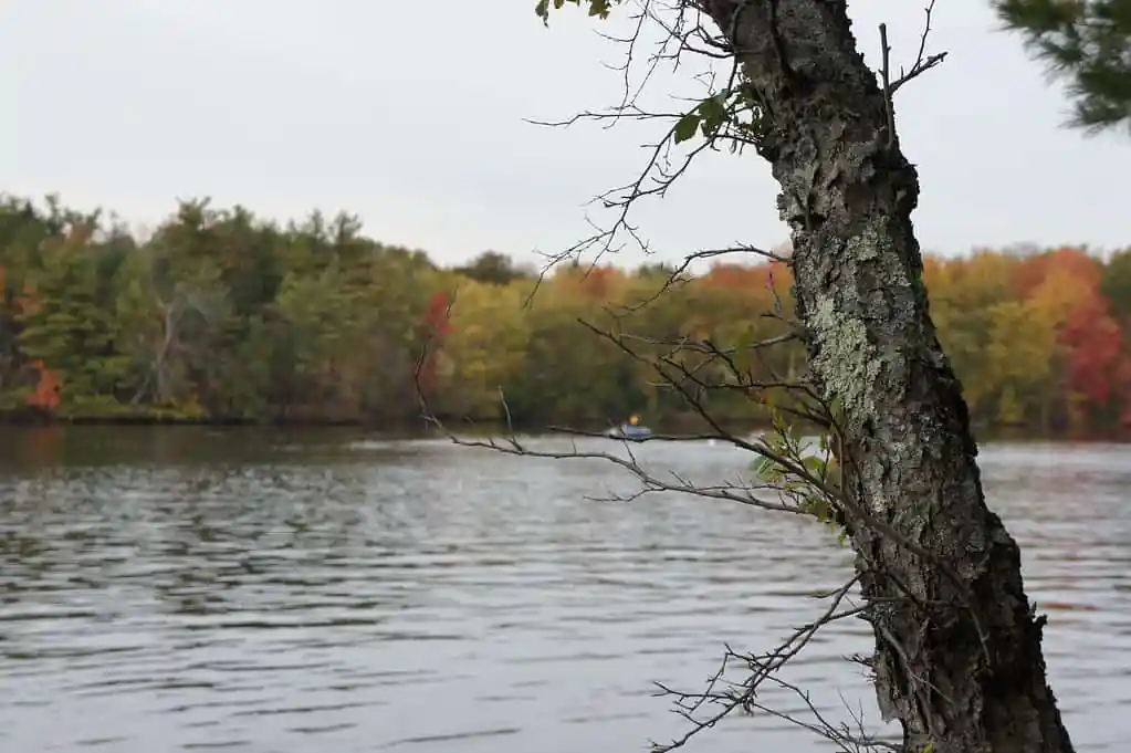 Merrimack River Trail - Andover