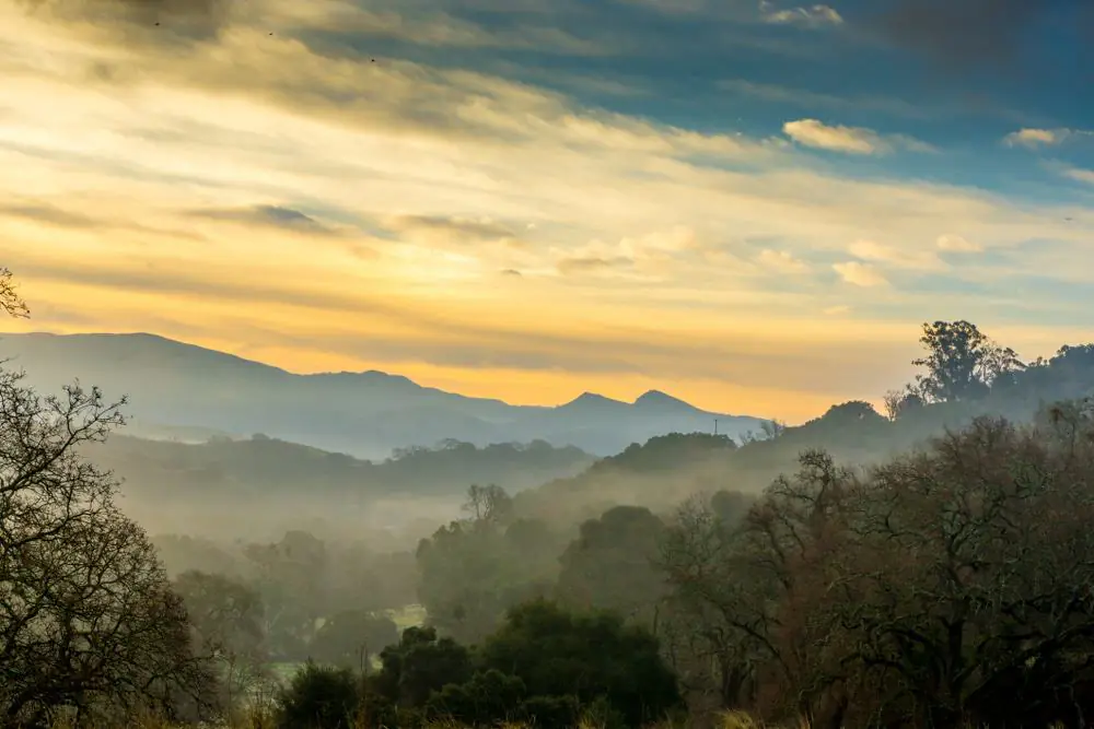 Pleasanton Ridge Regional Park